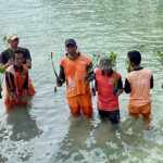 Ratusan bibit mangrove ditanam di sisi barat Pulau Panggang